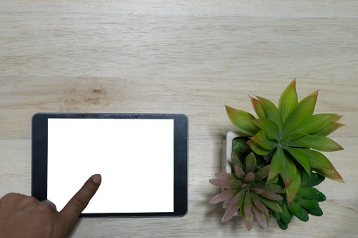 Hand touching the black tablet on the wood table background with flower pot with copy space.