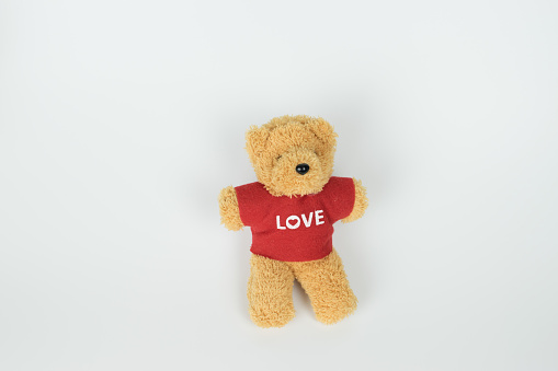 Little bear with the text love on the white background.
