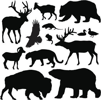 Highly-detailed North American animal silhouettes.