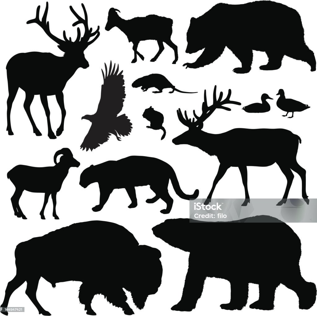 North American Animals Highly-detailed North American animal silhouettes. In Silhouette stock vector