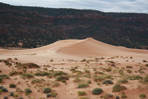 Outside Bryce Canyon National Park