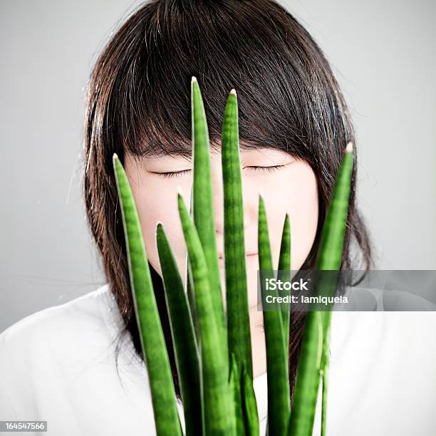 Ragazza Asiatica Dietro Un Sansevieria Cylindrica - Fotografie stock e altre immagini di Abbigliamento casual - Abbigliamento casual, Adulto, Aloe