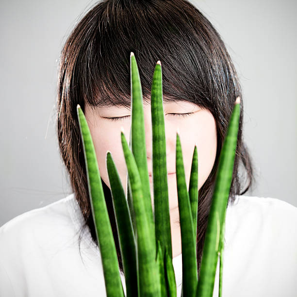 atrás de uma menina asiática sansevieria cylindrica - herbal medicine asian ethnicity aloe women - fotografias e filmes do acervo