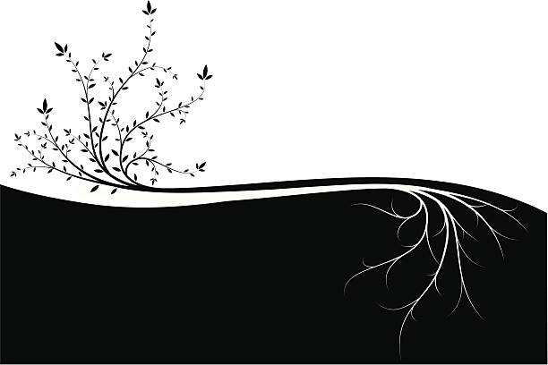 Above and Below Tree concept illustration. plant root growth cultivated stock illustrations