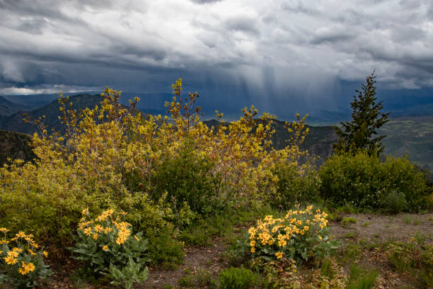 Colorado Storm stock photo