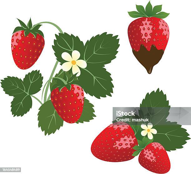 Ilustración de Srawberry y más Vectores Libres de Derechos de Fresa - Fresa, Flor, Recortable