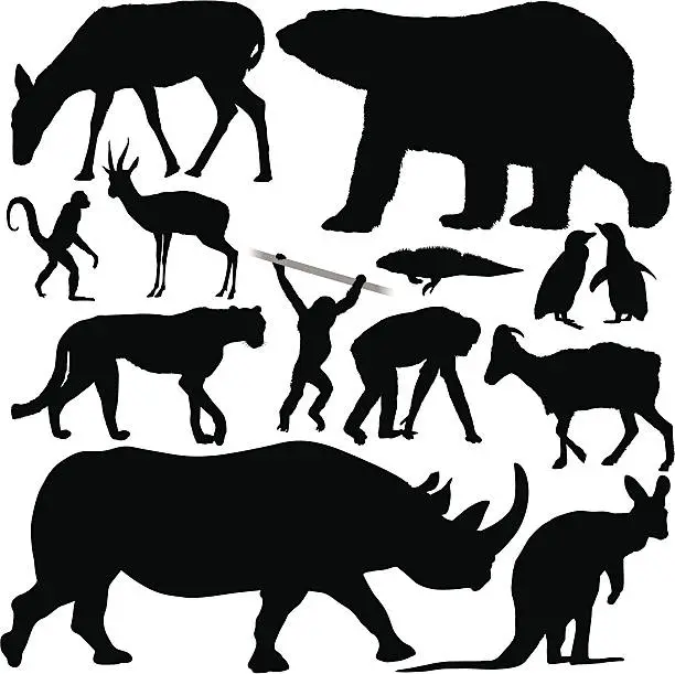 Vector illustration of Animal Silhouettes