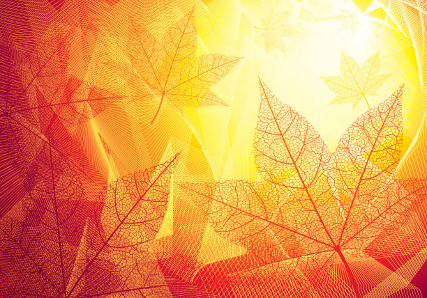 가을 낙엽 - close up macro autumn backgrounds stock illustrations
