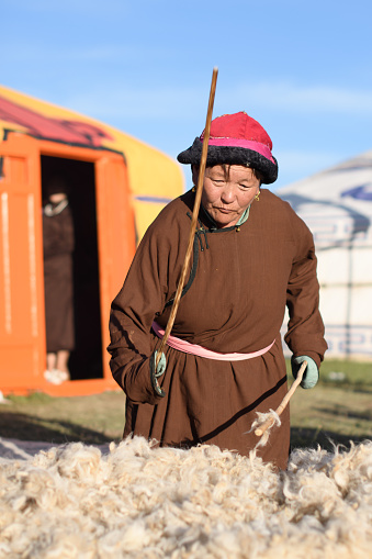 Ulaanbaatar, Tuv, Mongolia - August 12, 2023: A woman is beating wool. (the process of before make felting) Nomads world cultural festival Mongolia