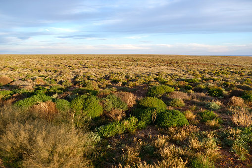 Desert landscape view in South Australia.