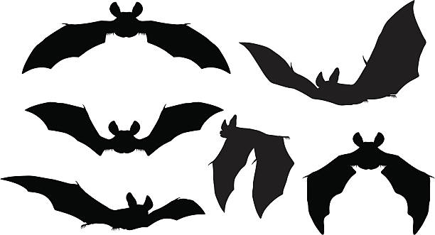 Bats Silhouettes Silhouettes set of bats flying bats stock illustrations