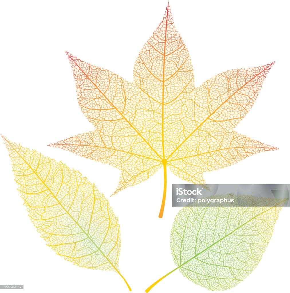 秋の落ち葉 - 秋のロイヤリティフリーベクトルアート
