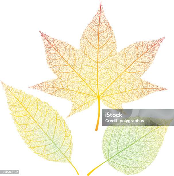 Jesień Liście - Stockowe grafiki wektorowe i więcej obrazów Jesień - Jesień, Liść, Nerw liścia