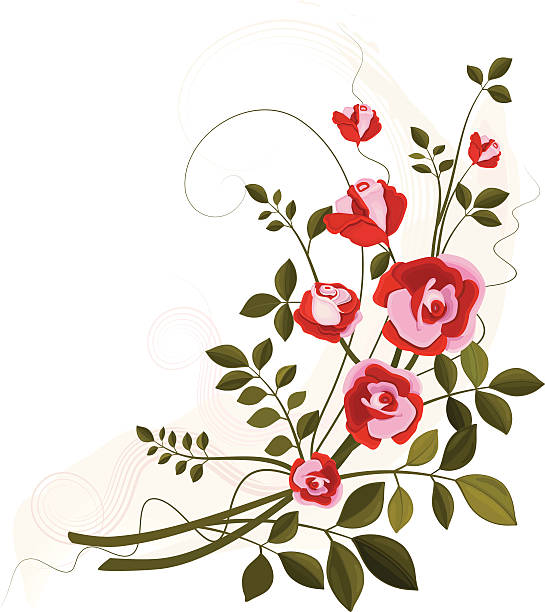 Red and Pink Roses Corner Vine Beautiful Corner ornament with Red and Pink Roses. swirly vines stock illustrations