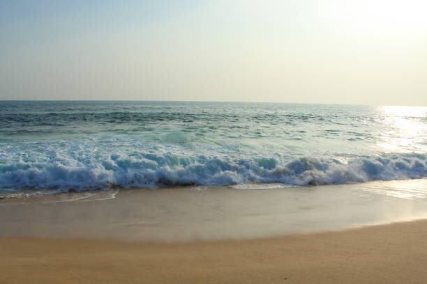 スリランカの野生の生の空のビーチ。波の接写、背景 - asia forest sri lanka rock ストックフォトと画像