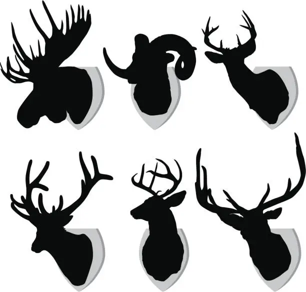 Vector illustration of Mounted Animals