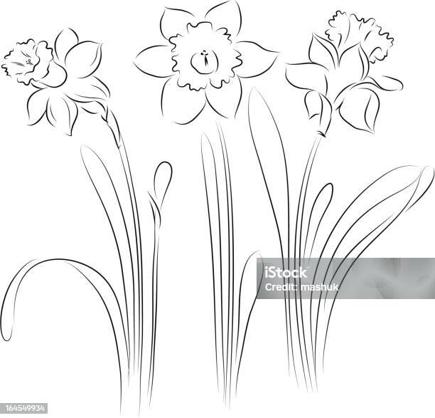 Ilustración de Narciso y más Vectores Libres de Derechos de Narciso - Familia del lirio - Narciso - Familia del lirio, Amarillo - Color, Belleza de la naturaleza