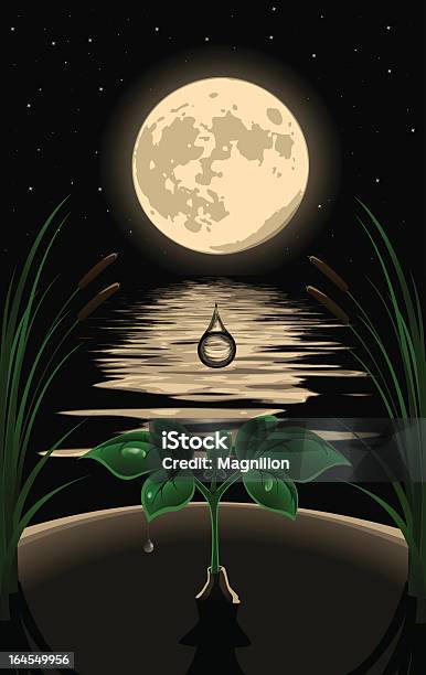 Ilustración de Maravillosa Noche y más Vectores Libres de Derechos de Luna llena - Luna llena, Agua, Anochecer
