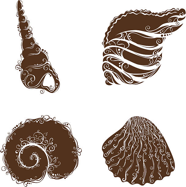 Trumpet Shell Vector 40+ Triton Trumpet Shell Stock Illustrations, Royalty-Free Vector ...