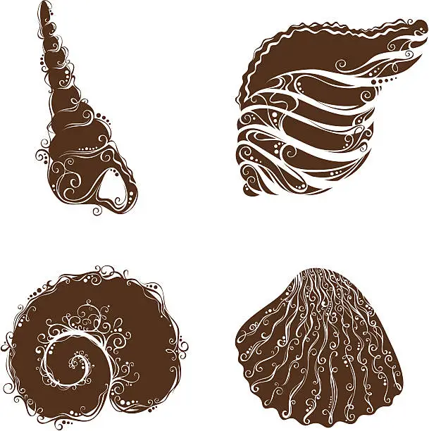 Vector illustration of Ornate shells