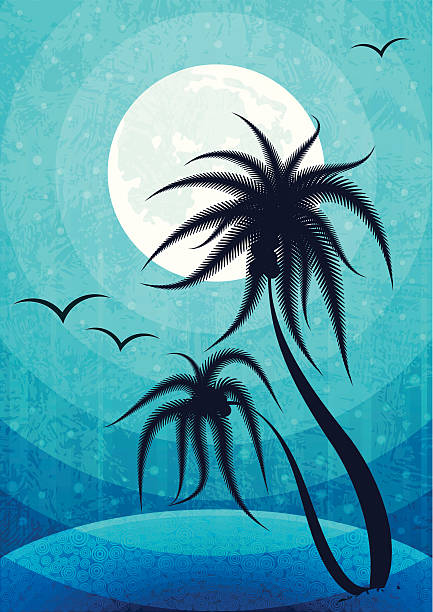 Ilustración de Paisaje Nocturno y más Vectores Libres de Derechos de  Idílico - Idílico, Isla, Clima tropical - iStock