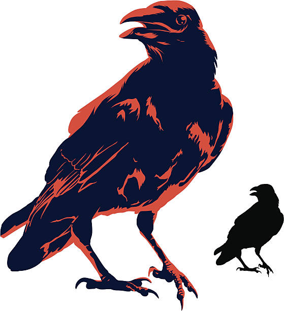 ilustrações de stock, clip art, desenhos animados e ícones de o crow - perching