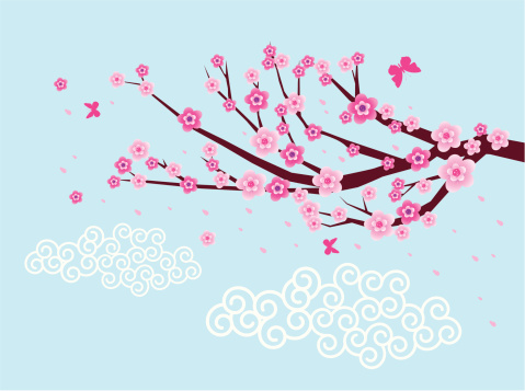 Vector of Plum Blossom with blue background.