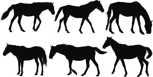 Vector illustration of Horse Silhouettes