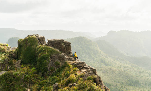 Hiker at Kauaeranga Kauri Trail, watching over valley and enjoying the majestic view in Coromandel New Zealand.