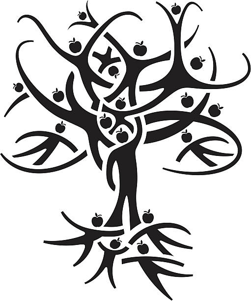 drzewo życia - tree root family tree family stock illustrations