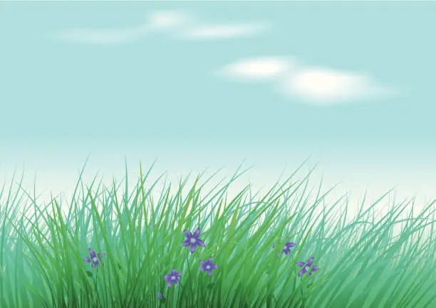 Vector illustration of Meadow