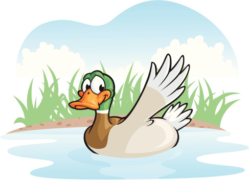 Vector Illustration of a cute little duck swimming in a pond. File saved in layers for easy editing.