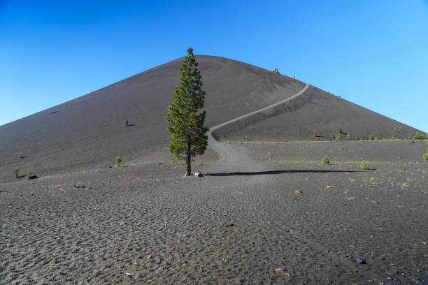 istock Lone tree in front of cinder code volcanic mountain in Lassen National Park 1645524587