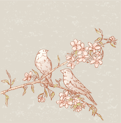 The vector drawing of a two birds on a blooming branch.