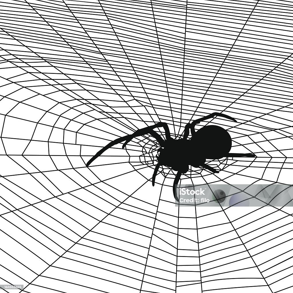 Spider Web Hintergrund - Lizenzfrei Kontur Vektorgrafik
