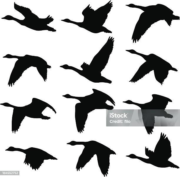 Canadian Geese Silhouettes Stock Illustration - Download Image Now - Goose - Bird, Flying, Canada Goose