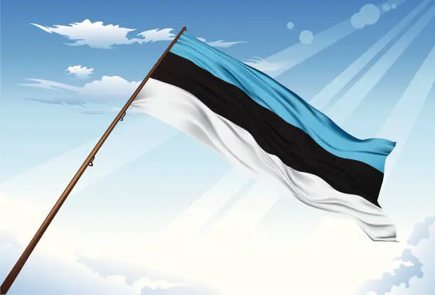 Vector illustration of Estonia Flag