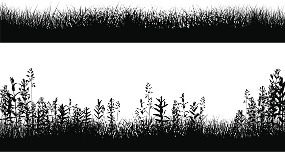 Silhouettes of field plants. Easy to recolor and adjust.