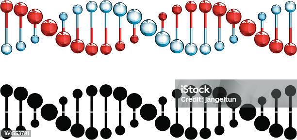 Brins Dadn Vecteurs libres de droits et plus d'images vectorielles de ADN - ADN, Protéine, Chaîne d'ADN modélisée