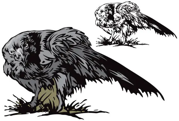 Vector illustration of Eagle Illustration (Vector)