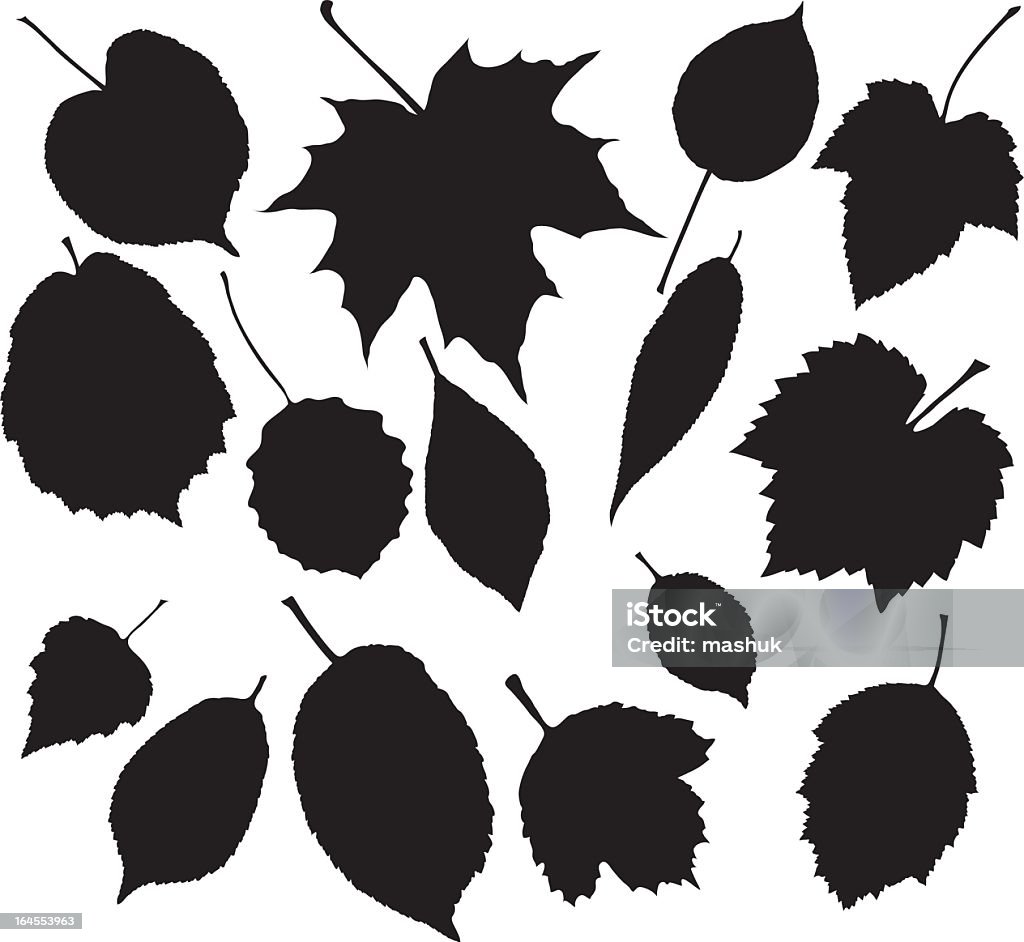 Black silhouette of leaves against white background [url=file_closeup.php?id=17679784 t=_blank][img]file_thumbview_approve.php?size=1&id=17679784[/img][/url][url=file_closeup.php?id=17048843 t=_blank][img]file_thumbview_approve.php?size=1&id=17048843[/img][/url][url=file_closeup.php?id=17590062 t=_blank][img]file_thumbview_approve.php?size=1&id=17590062[/img][/url]
[url=file_closeup.php?id=14266303 t=_blank][img]file_thumbview_approve.php?size=1&id=14266303[/img][/url][url=file_closeup.php?id=17047763 t=_blank][img]file_thumbview_approve.php?size=1&id=17047763[/img][/url][url=file_closeup.php?id=14253107 t=_blank][img]file_thumbview_approve.php?size=1&id=14253107[/img][/url]
[url=file_closeup.php?id=14122930 t=_blank][img]file_thumbview_approve.php?size=1&id=14122930[/img][/url][url=file_closeup.php?id=14160296 t=_blank][img]file_thumbview_approve.php?size=1&id=14160296[/img][/url][url=file_closeup.php?id=14160518 t=_blank][img]file_thumbview_approve.php?size=1&id=14160518[/img][/url]
[url=file_closeup.php?id=13863192 t=_blank][img]file_thumbview_approve.php?size=1&id=13863192[/img][/url][url=file_closeup.php?id=13863087 t=_blank][img]file_thumbview_approve.php?size=1&id=13863087[/img][/url][url=file_closeup.php?id=13863046 t=_blank][img]file_thumbview_approve.php?size=1&id=13863046[/img][/url]
[url=file_closeup.php?id=13214577 t=_blank][img]file_thumbview_approve.php?size=1&id=13214577[/img][/url][url=file_closeup.php?id=13215984 t=_blank][img]file_thumbview_approve.php?size=1&id=13215984[/img][/url][url=file_closeup.php?id=13188650 t=_blank][img]file_thumbview_approve.php?size=1&id=13188650[/img][/url]
[url=file_closeup.php?id=13106152 t=_blank][img]file_thumbview_approve.php?size=1&id=13106152[/img][/url][url=file_closeup.php?id=13129745 t=_blank][img]file_thumbview_approve.php?size=1&id=13129745[/img][/url][url=file_closeup.php?id=13198667 t=_blank][img]file_thumbview_approve.php?size=1&id=13198667[/img][/url] Autumn stock vector