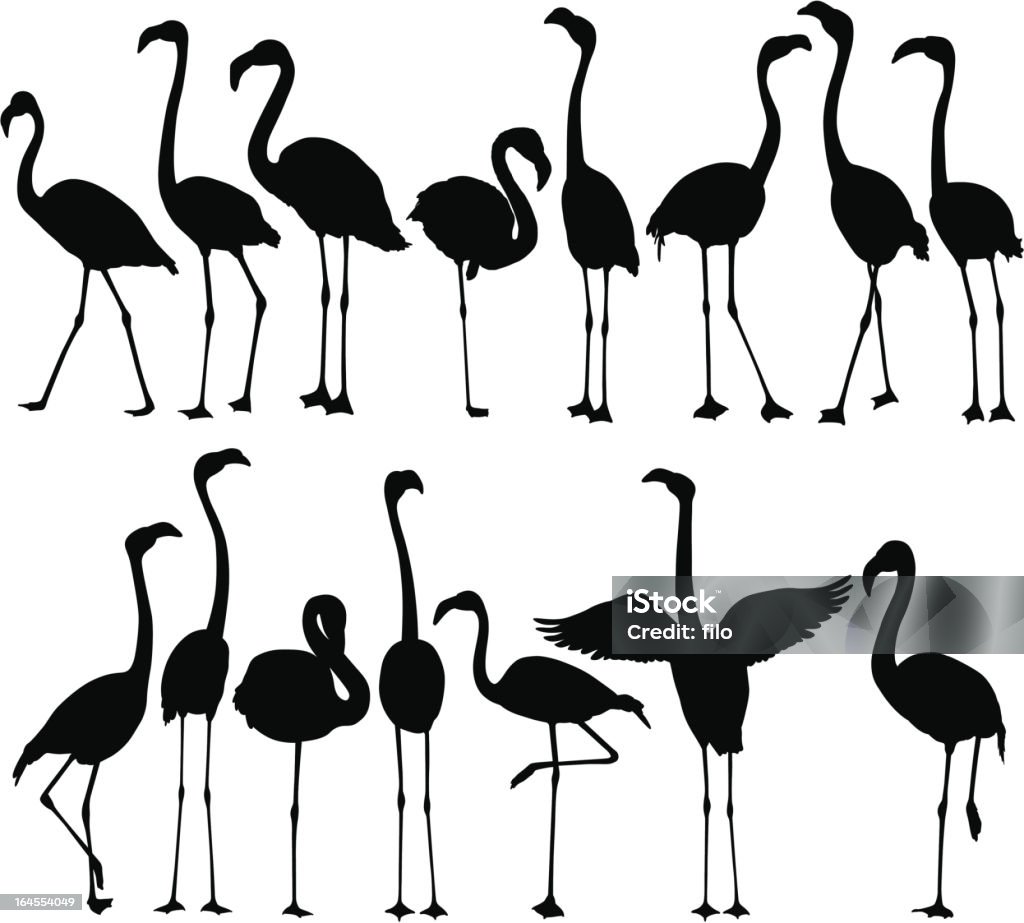 Flamingo modelli - arte vettoriale royalty-free di Fenicottero