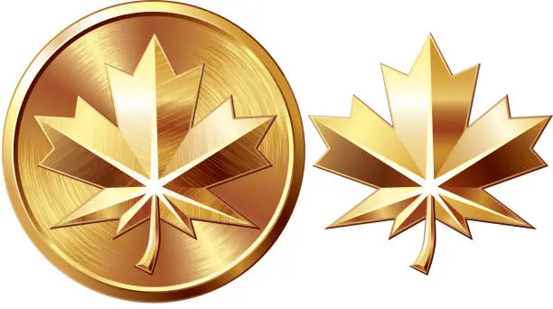 Vector illustration of Maple leaf