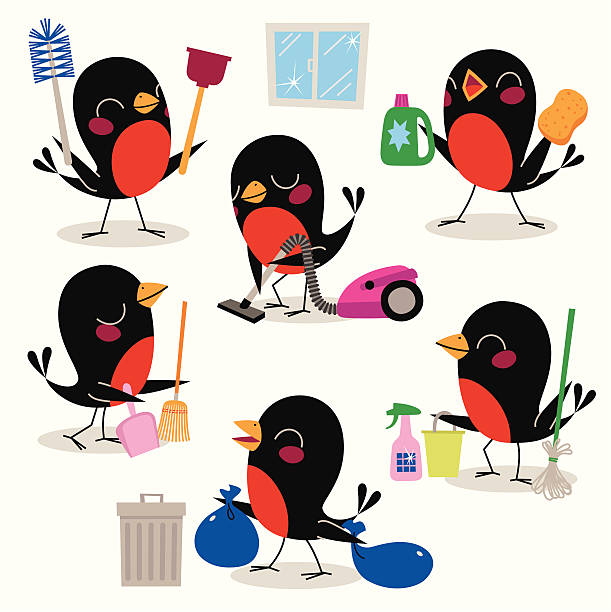 illustrations, cliparts, dessins animés et icônes de nettoyer les oiseaux. - funny bird