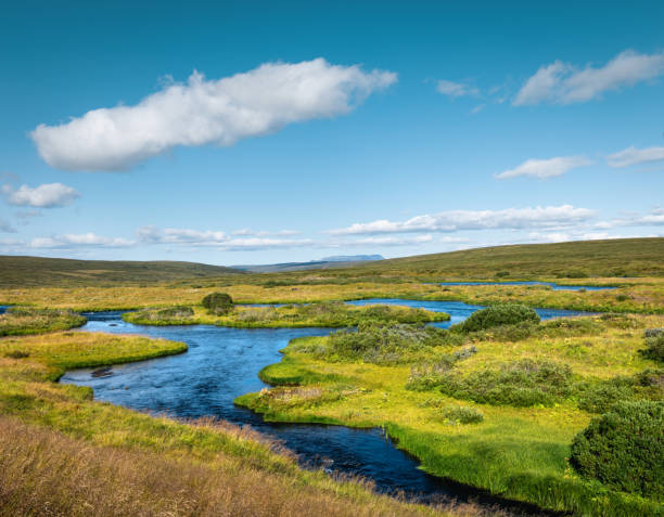 Idyllic landscape with the Laxa river in Iceland on a sunny summer day.