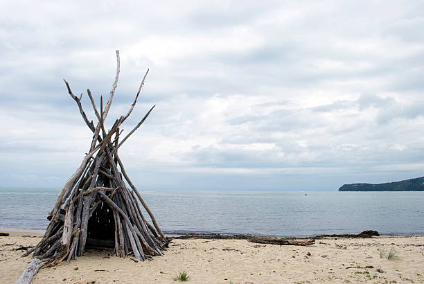 Close up of driftwood on sand