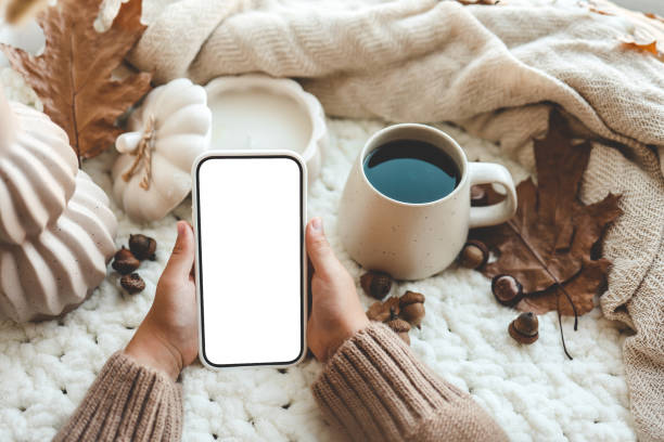 istock Phone with an isolated screen in hands, autumn mood 1645600393