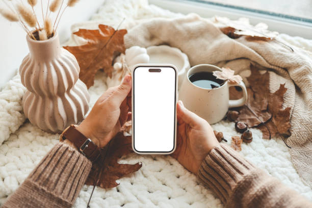 istock Phone with an isolated screen in hands, autumn mood 1645600411