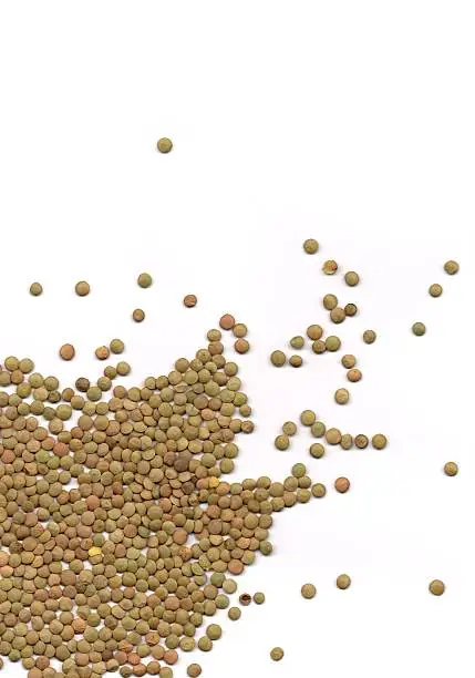 Brown Lentils scattered across a white background.
