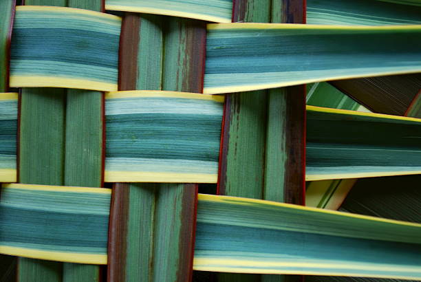 Woven green, brown and yellow grass background A background of differnt types of NZ Flax (Phormium) leaves woven. Harakeke is the name for New Zealand Flax by the Maori. The Maori also weave the leaves to make baskets. woven fabric stock pictures, royalty-free photos & images